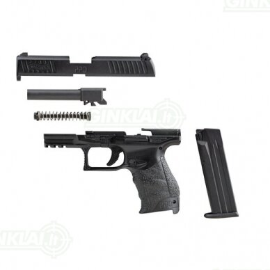 Modelis Walther PPQ, 1:2 dydžio 2