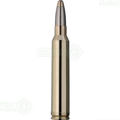 RWS 300 Win Mag EVO 11,9g 1